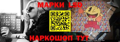 дживик Кингисепп