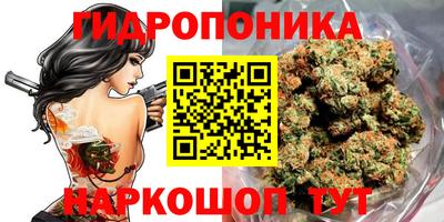 прущая мука Кимры
