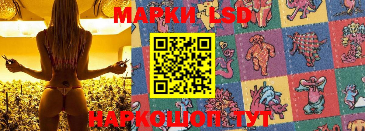 Марки NBOMe 1500мкг Котовск