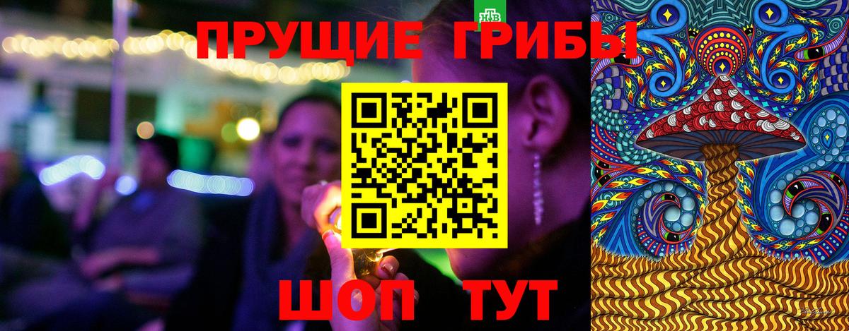 Котовск  купить наркотики цена  Вход с VPN  Галлюциногенные грибы прущие грибы 