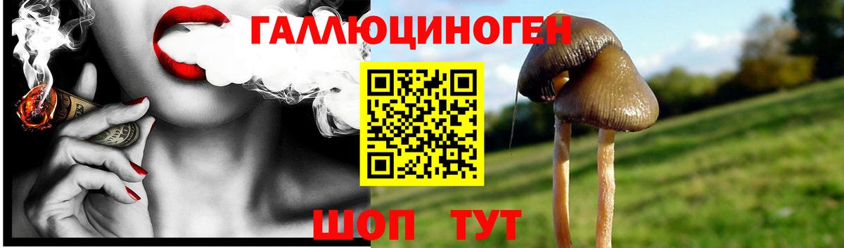 Галлюциногенные грибы GOLDEN TEACHER Котовск